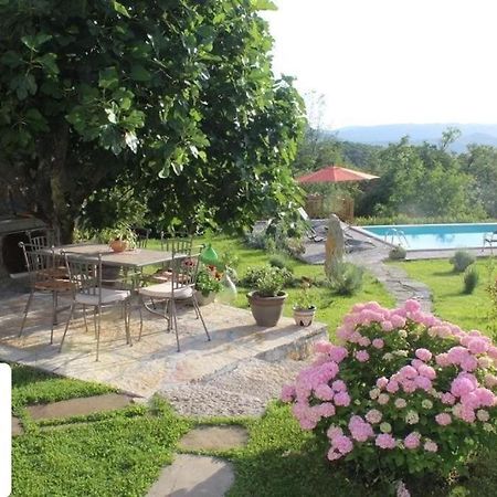 Villa Mavrici, Neighbors Free Buzet Exterior photo