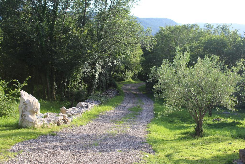 Villa Mavrici, Neighbors Free Buzet Exterior photo