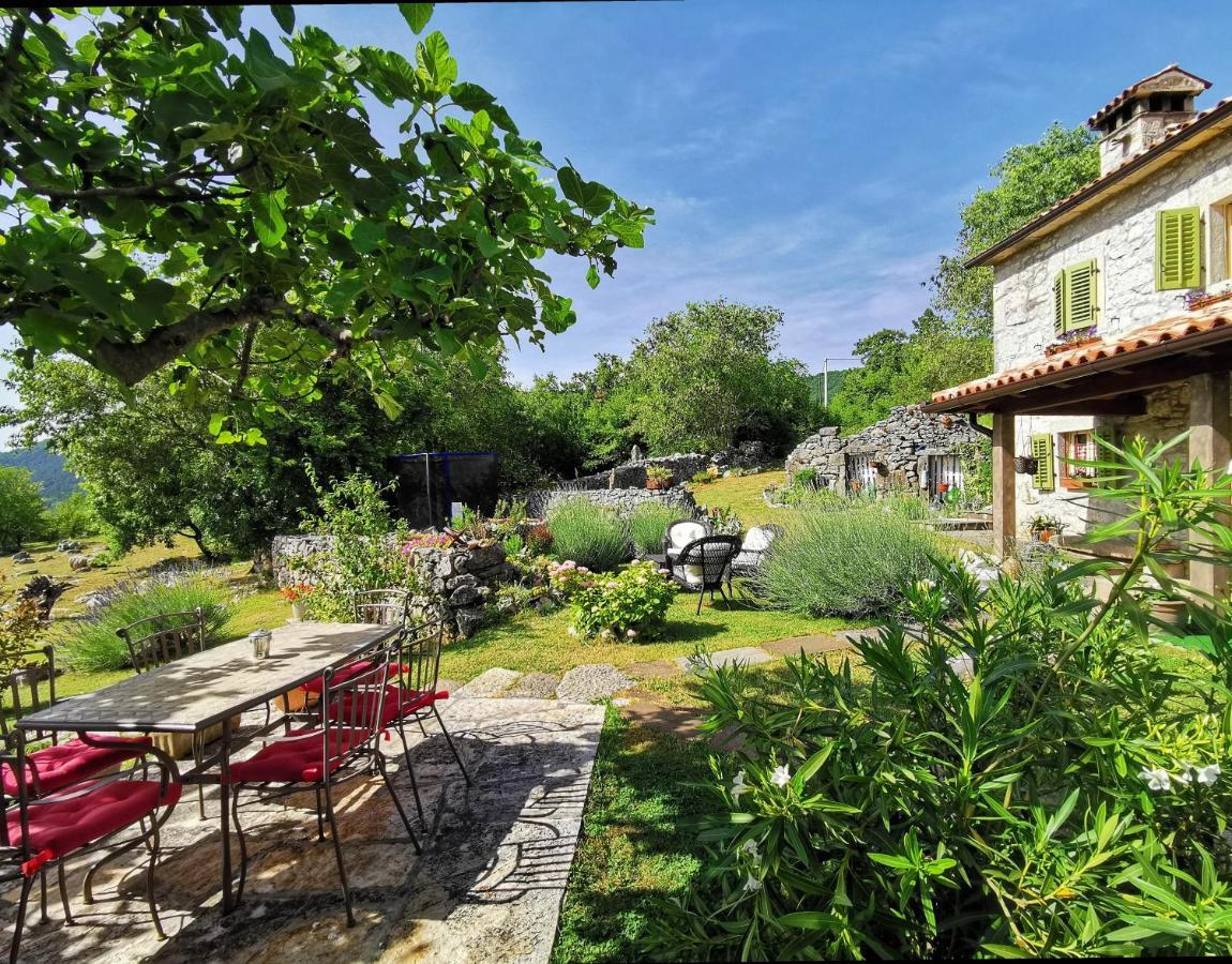 Villa Mavrici, Neighbors Free Buzet Exterior photo